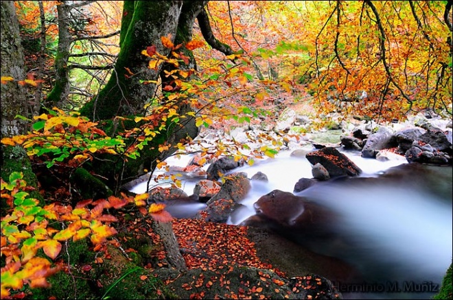 Pirineos en otoño