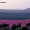 Dehesa en Andalucía
