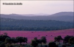 Dehesa en Andalucía