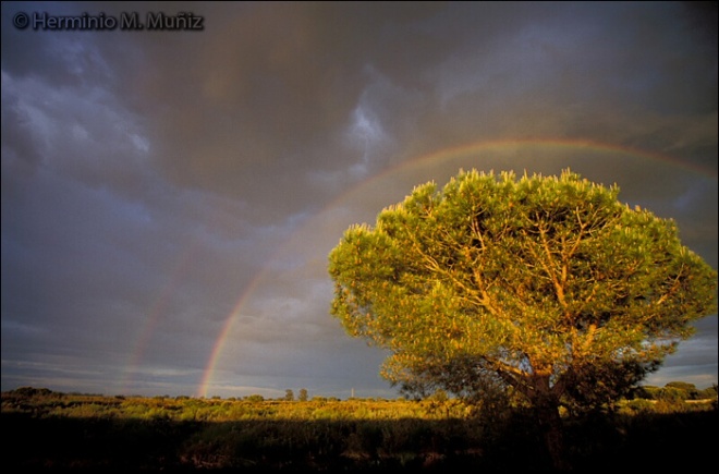 P.N. de Doñana