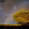 P.N. de Doñana