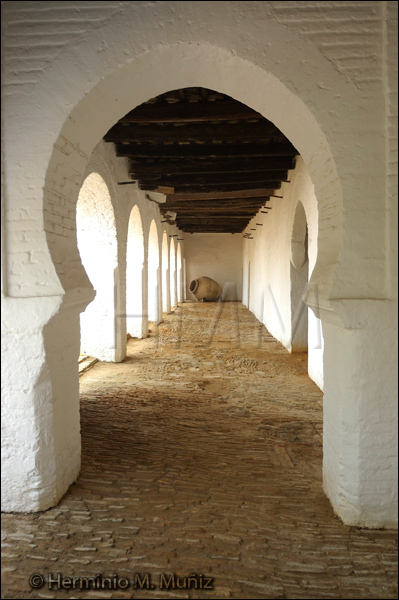 Palacio Ducal de Medina-Sidonia-Sanlucar de Bda. Palacio Ducal de Medina-Sidonia-Sanlucar de Bda.