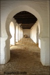 Palacio Ducal de Medina-Sidonia-Sanlucar de Bda.