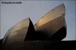 Museo Guggenheim-Bilbao