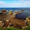 St-Abbs- Escocia