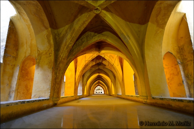 Alcazar de Sevilla